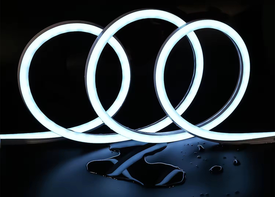 Προσαρμοσμένο RGBW LED Neon Strip Σημάδι Φλεξ Φώτα DMX Σημάδι 24V IP67 Αδιάβροχο για εσωτερική και εξωτερική διακόσμηση 1616mm