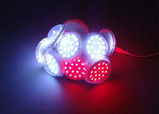 Ελεγκτής 60mm DMX Rgb ψηφιακό οδηγημένο εικονοκύτταρο 5050 για το θεματικό πάρκο